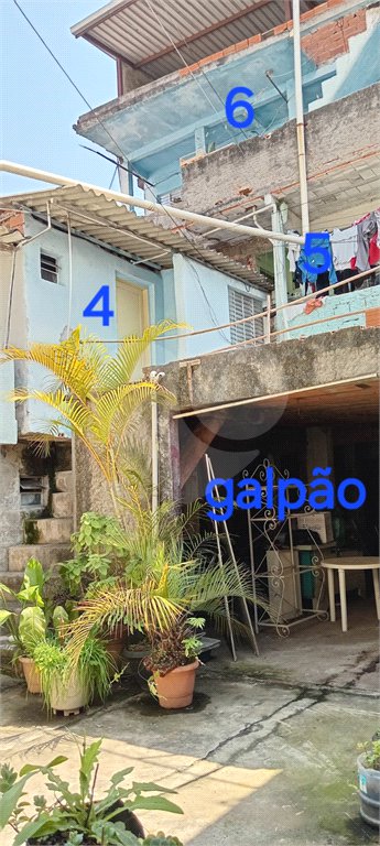 Sobrado à venda com 6 quartos em Vila Campestre, São Paulo, SP