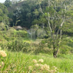Sítio à venda com 3 quartos, sendo 1 suíte, no Centro, Guararema, SP