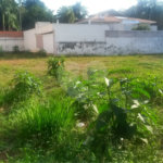 Terreno à venda em Alto da Boa Vista, São Paulo, SP