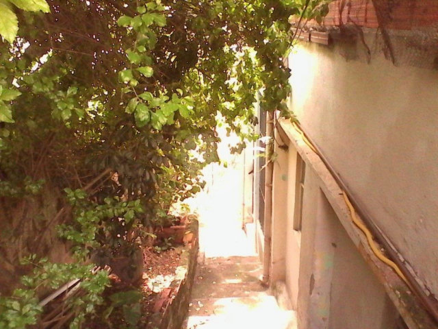 Terreno à venda em Vila Gustavo, São Paulo, SP