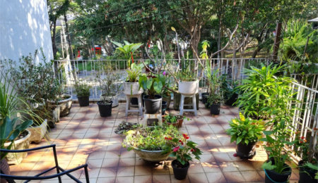 Casa à venda com 3 quartos em Jardim Bonfiglioli, São Paulo, SP