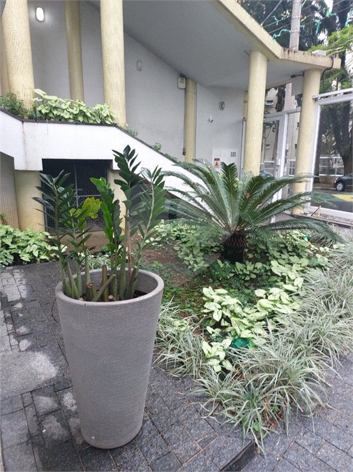 Apartamento à venda com 3 quartos, sendo 1 suíte, em Vila Monumento, São Paulo, SP