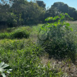 Terreno à venda em Chapadinha, Itapetininga, SP
