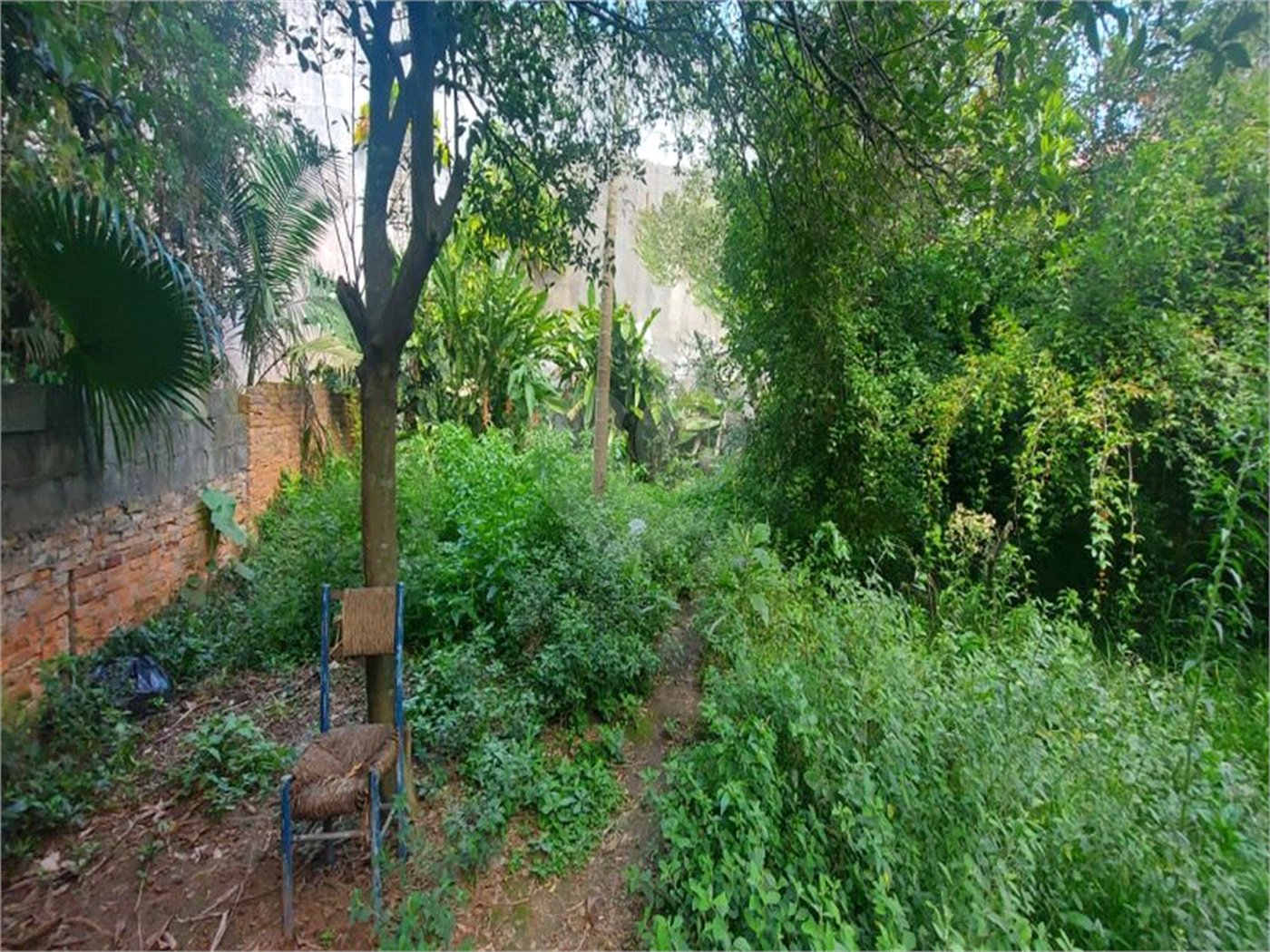 Casa Térrea à venda com 3 quartos, sendo 1 suíte, em Jardim Floresta, São Paulo, SP