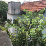 Terreno à venda em Tucuruvi, São Paulo, SP