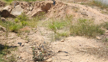 Terreno à venda no condomínio Reserva da Mata, Vinhedo - SP