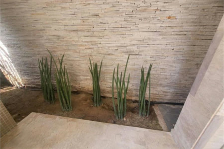 Apartamento Residencial à venda, Gonzaga, Santos - AP1414.