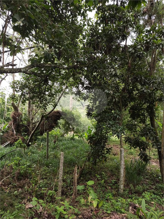 Terreno à venda em Vila Moraes, Mogi das Cruzes, SP