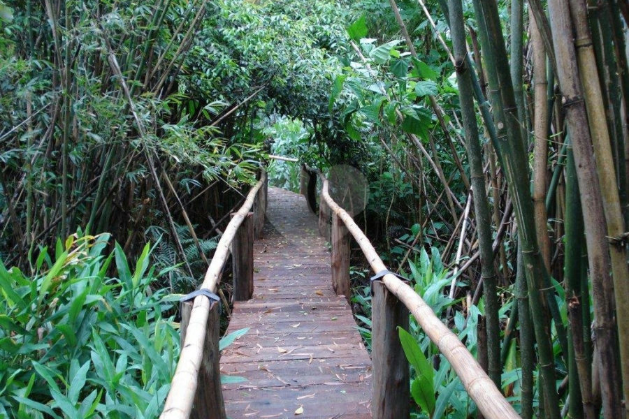 Terreno à venda em Horto Florestal, São Paulo, SP