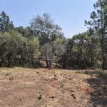 Casa em condomínio à venda em Parque Fernão Dias, Atibaia, SP