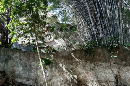 Terreno à venda em Santa Teresinha, São Paulo, SP