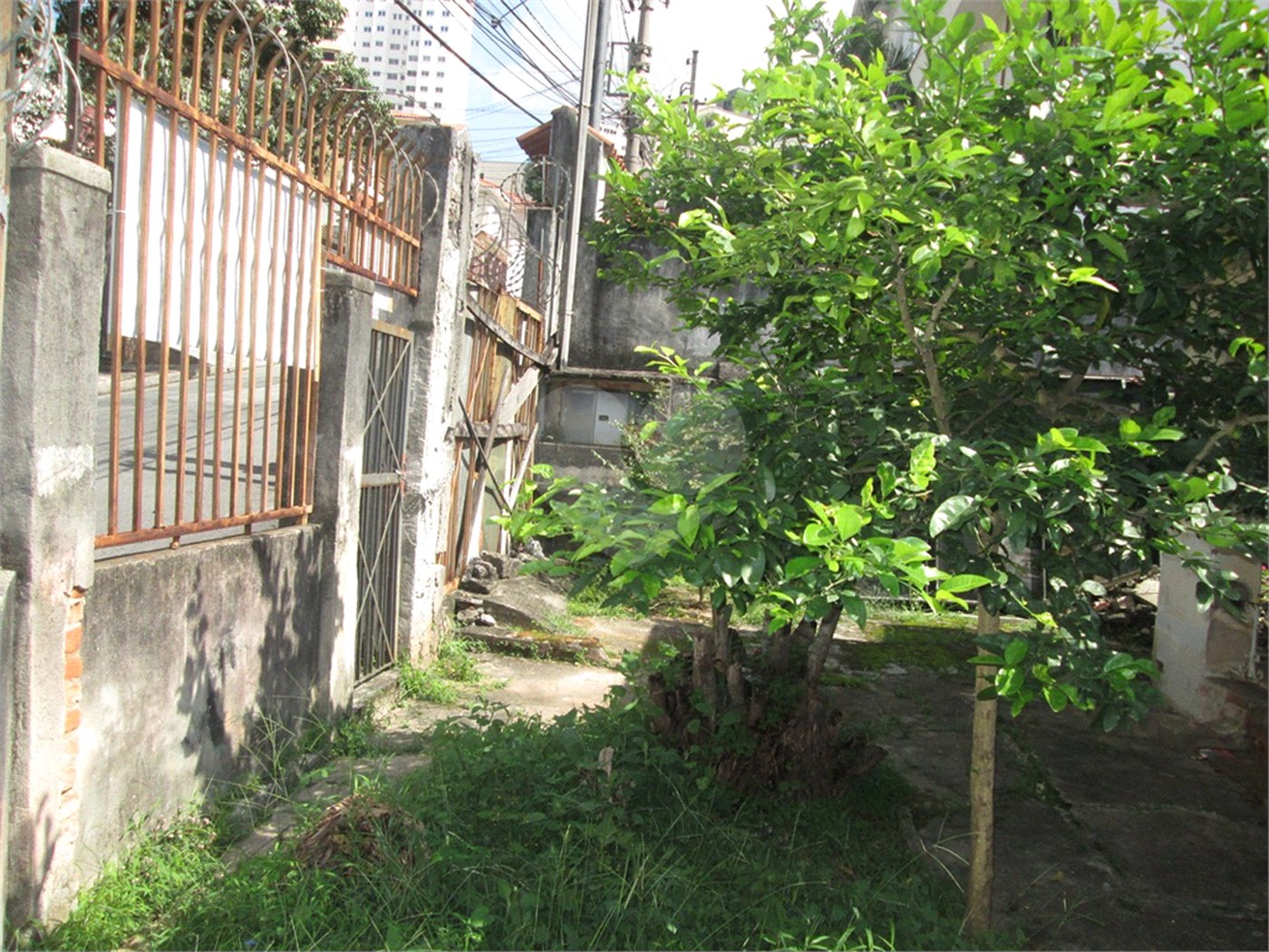 Casa Térrea à venda com 1 quarto em Santana, São Paulo, SP