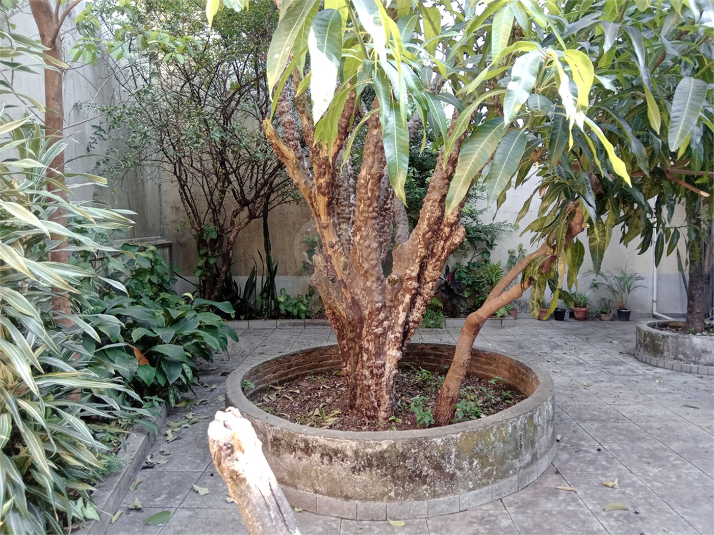 Sobrado à venda com 3 quartos, sendo 2 suítes, em Jardim do Colégio (zona Norte), São Paulo, SP