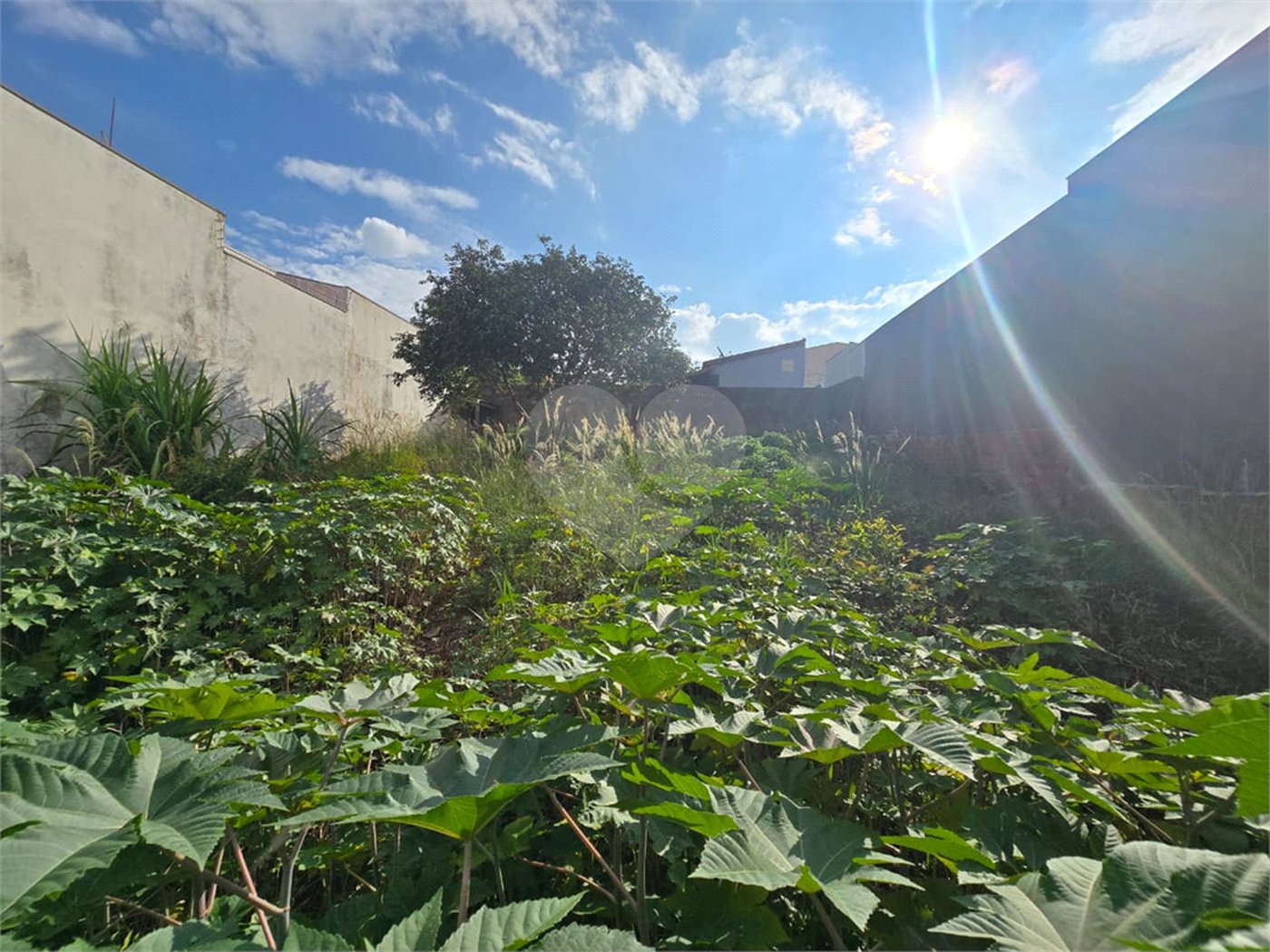Terreno à venda em Vila Nastri, Itapetininga, SP