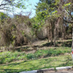 Loteamento à venda em Serra da Cantareira, São Paulo, SP