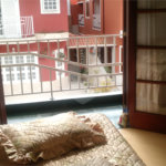 Casa à venda com 3 quartos, sendo 1 suíte, em Horto, São Paulo, SP