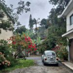 Terreno à venda ou para alugar em Horto, São Paulo, SP