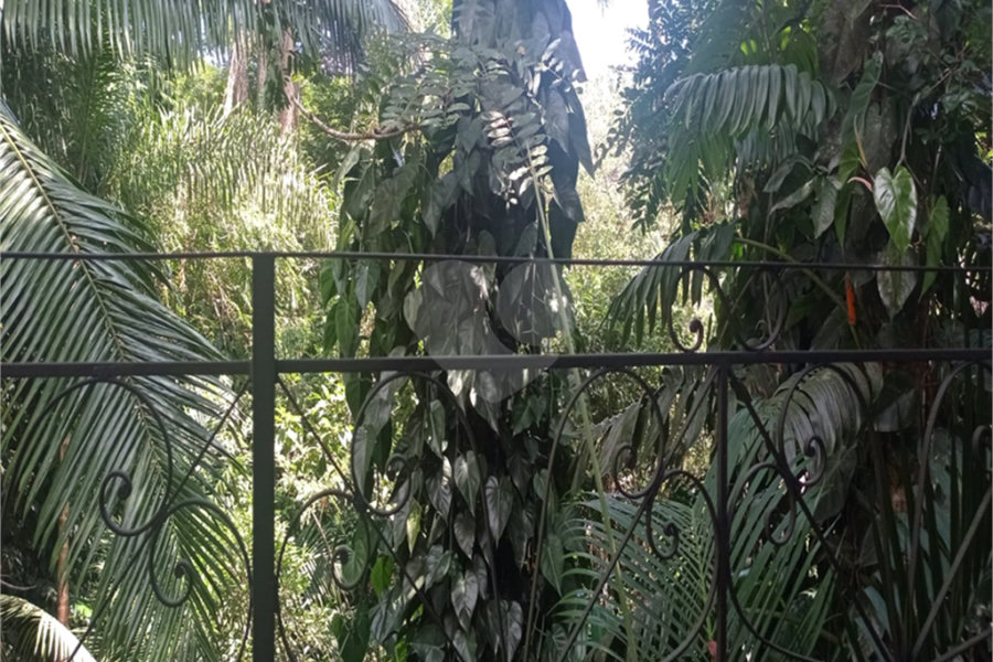 Casa Térrea à venda com 3 quartos, sendo 1 suíte, em Serra da Cantareira, Mairiporã, SP