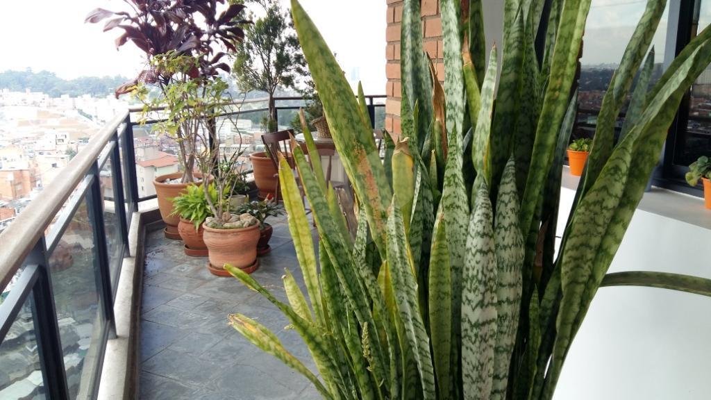 Apartamento à venda com 3 quartos, sendo 2 suítes, em Jardim Parque Morumbi, São Paulo, SP