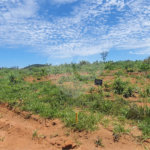 Terreno à venda no condomínio Estäncia Parque de Atibaia, Atibaia - SP