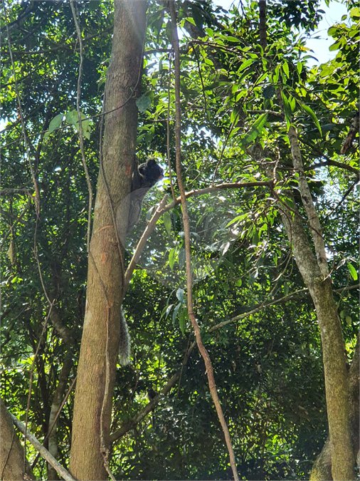 Condomínio à venda em Serra da Cantareira, Mairiporã, SP