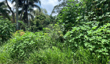 Terreno à venda em Roseira, Mairiporã, SP