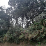 Terreno à venda em Serra da Cantareira, Mairiporã, SP