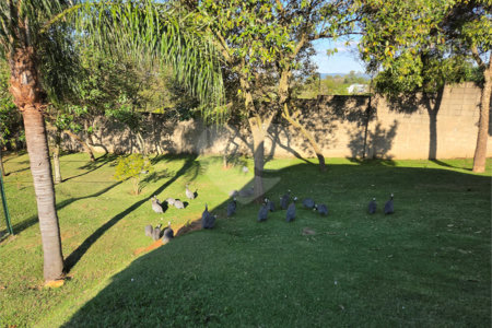Terreno à venda no condomínio Residencial Le France, Sorocaba - SP