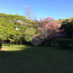 Chácara à venda com 8 quartos, sendo 3 suítes, no Centro, Bom Jesus dos Perdões, SP