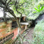 Terreno Residencial à venda, Morro de Nova Cintra, Santos - TE0034.