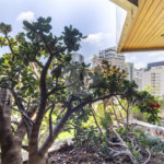 Apartamento à venda com 4 quartos, sendo 2 suítes, em Indianópolis, São Paulo, SP