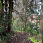 Terreno à venda em Paraisópolis, São Paulo, SP