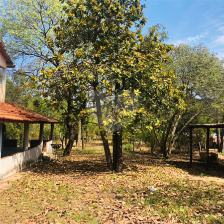 Sítio à venda com 3 quartos em Área Rural de Três Lagoas, Três Lagoas, MS