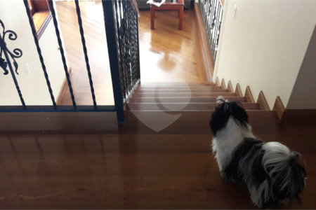 Casa à venda com 3 quartos, sendo 1 suíte, em Jardim Marco Leite, Jundiaí, SP