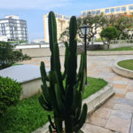 Apartamento à venda com 3 suítes em Conjunto Residencial Morumbi, São Paulo, SP