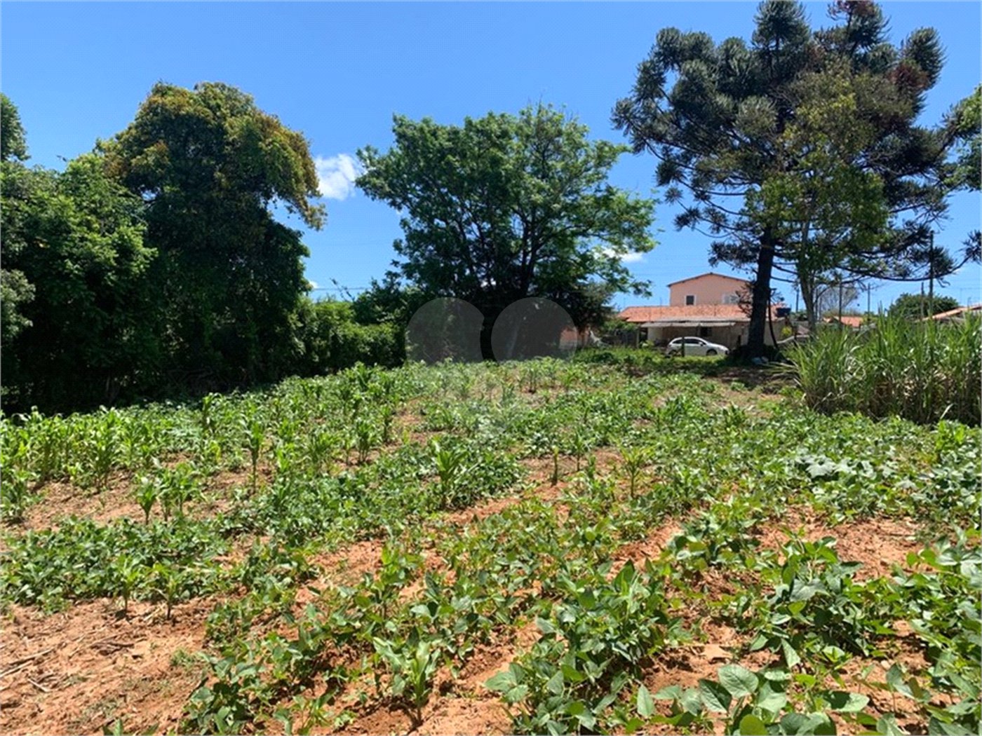 Área de Terra à venda em Cristóvão, Araçoiaba da Serra, SP