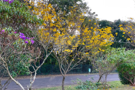 Casa à venda com 3 quartos, sendo 1 suíte, no condomínio Vale do Lago, Sorocaba - SP
