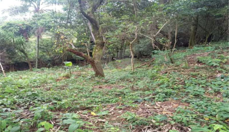 Terreno à venda no condomínio Associação Reserva das Hortênsias, Mairiporã - SP