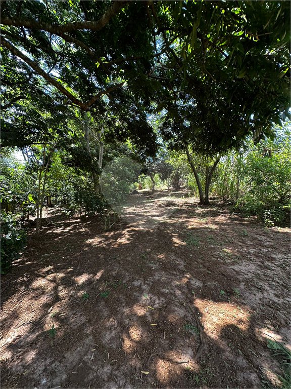Terreno à venda em Residencial Emilio de Andrade, Ponta Porã, MS