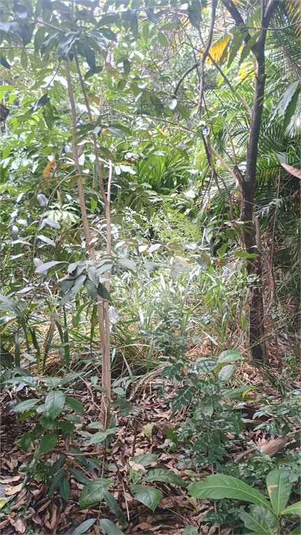 Terreno à venda em Pedra de Guaratiba, Rio de Janeiro, RJ