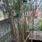 Casa à venda com 2 quartos em Vila Mazzei, São Paulo, SP