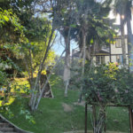 Casa em condomínio à venda com 4 quartos, sendo 3 suítes,  em Geribá, Armação dos Búzios, RJ