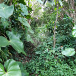 Terreno à venda em Vila Irmãos Arnoni, São Paulo, SP