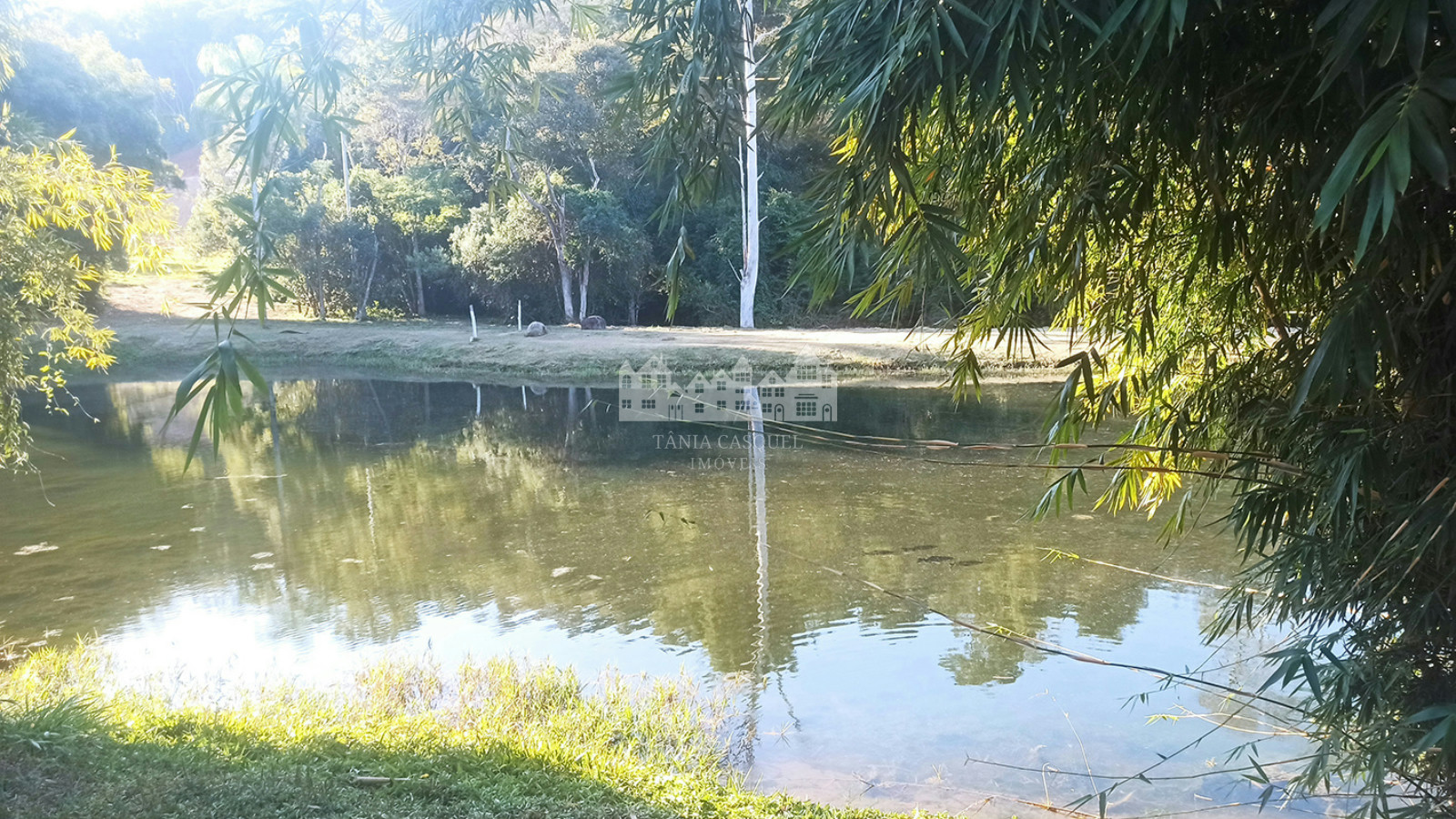 Terreno, 2 hectares - Foto 5