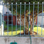 Casa à venda com 4 quartos em Mandaqui, São Paulo, SP