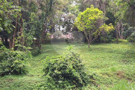 Terreno à venda em Marambaia, Vinhedo, SP