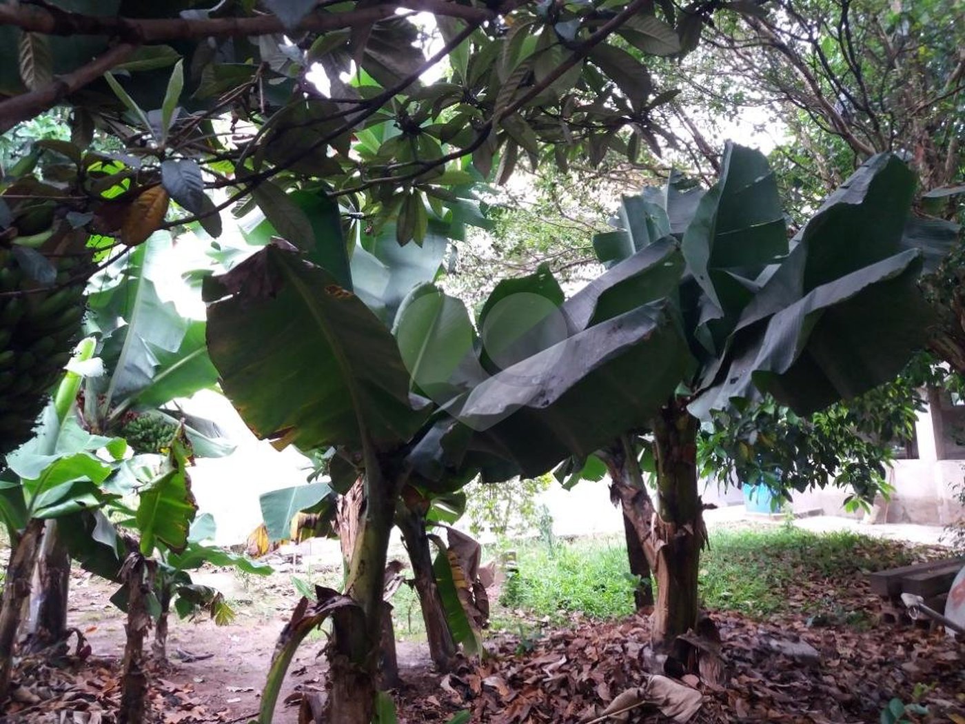 Casa à venda com 4 quartos, sendo 1 suíte,  em Jardim Helga, São Paulo, SP