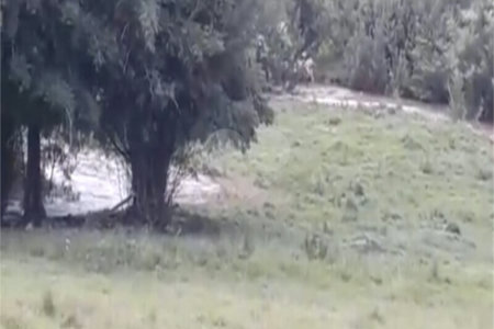 Área de Terra à venda em Área Rural de Monte Mor, Monte Mor, SP
