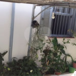 Terreno à venda com 2 quartos em Santa Teresinha, São Paulo, SP