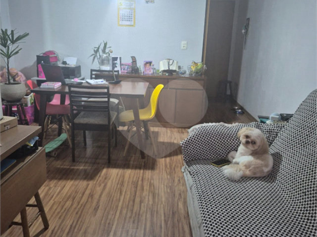 Apartamento à venda com 3 quartos em Vila Nova Cachoeirinha, São Paulo, SP